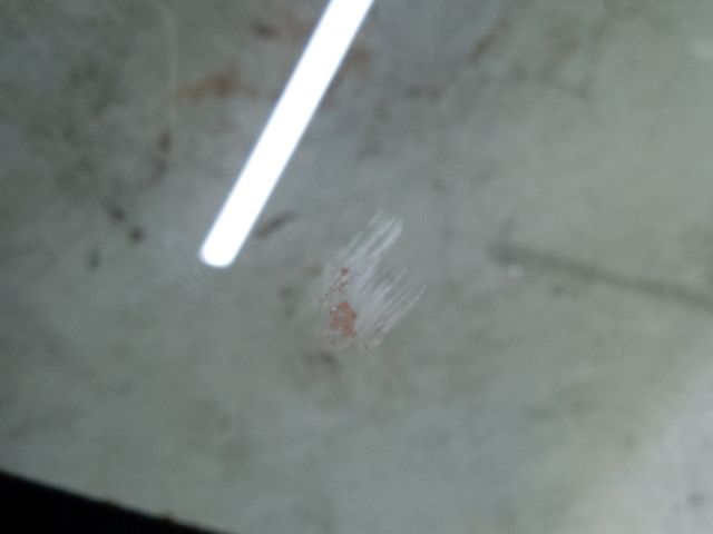 bontott DACIA SANDERO Bal hátsó Ablak