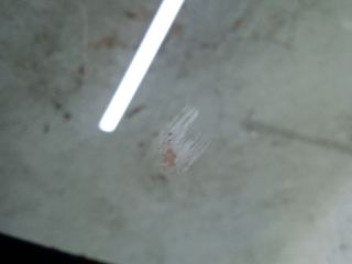 bontott DACIA SANDERO Bal hátsó Ablak