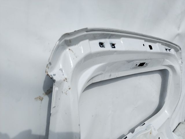 bontott DACIA SPRING Csomagtérajtó (Üres lemez)