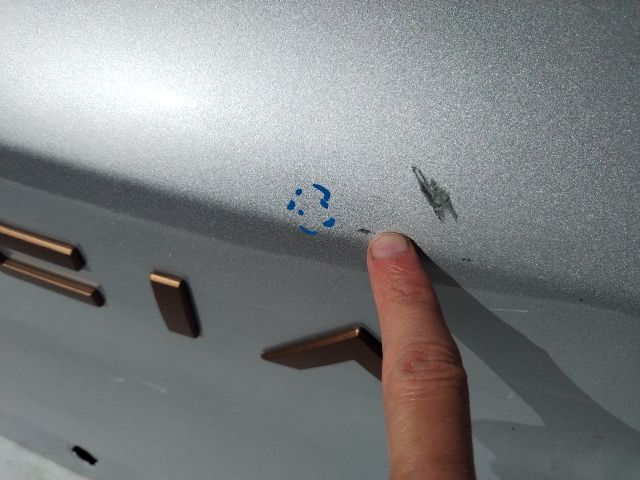 bontott DACIA SPRING Csomagtérajtó (Üres lemez)