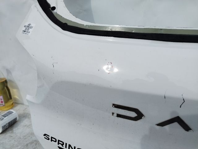 bontott DACIA SPRING Csomagtérajtó (Üres lemez)