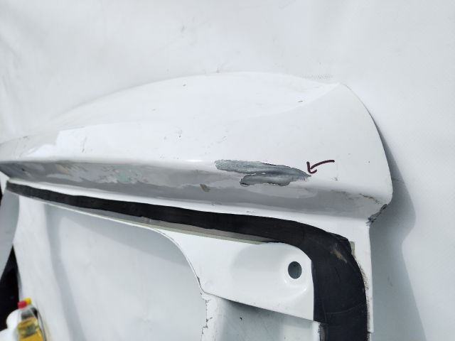 bontott DACIA SPRING Csomagtérajtó (Üres lemez)