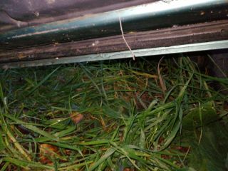 bontott DAEWOO LANOS Jobb első Ajtó (Részeivel)