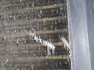 bontott FIAT BRAVA Hűtő Ventilátor(ok), Radiátor(ok) Szett