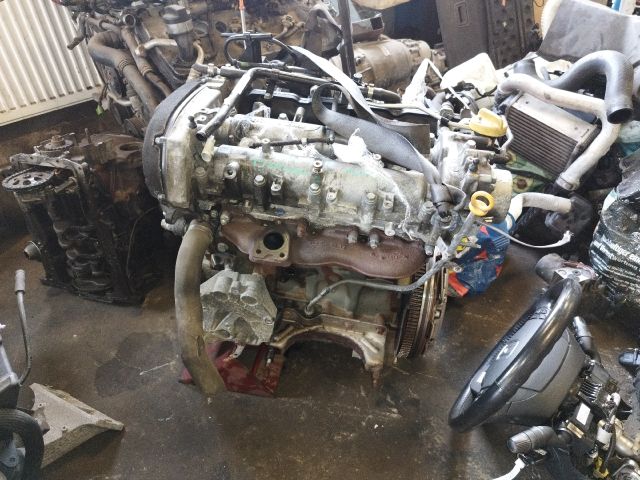 bontott FIAT BRAVO Motor (Fűzött blokk hengerfejjel)