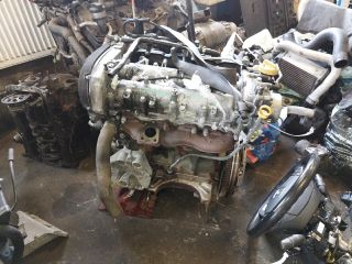 bontott FIAT BRAVO Motor (Fűzött blokk hengerfejjel)