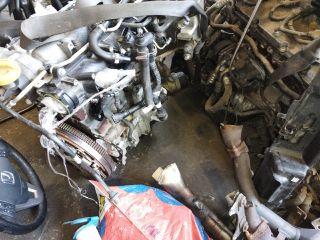 bontott FIAT BRAVO Motor (Fűzött blokk hengerfejjel)