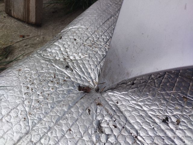 bontott FIAT CINQUECENTO Motorháztető