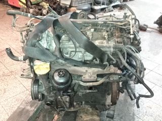 bontott FIAT DOBLO Motor (Fűzött blokk hengerfejjel)