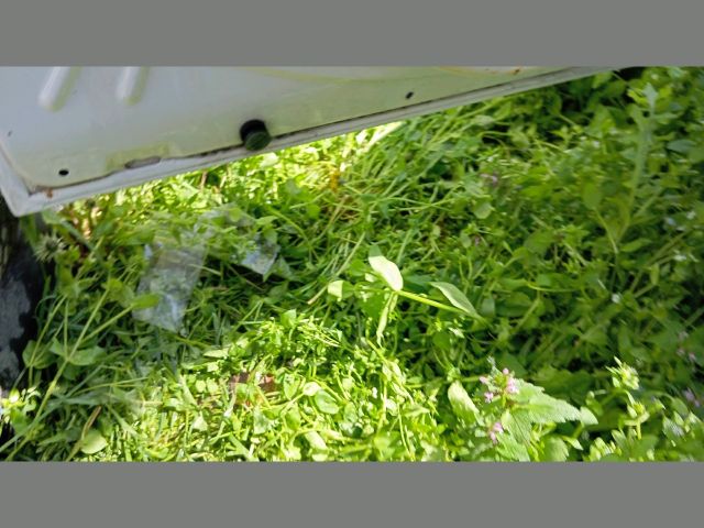 bontott FIAT DOBLO Bal első Ajtó (Üres lemez)