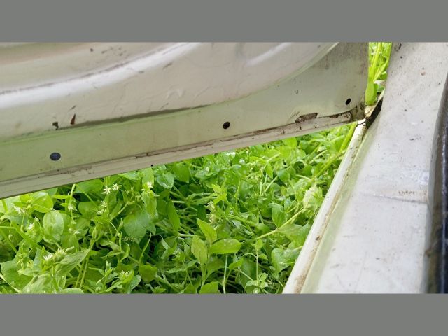 bontott FIAT DOBLO Bal első Ajtó (Üres lemez)