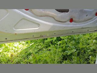 bontott FIAT DOBLO Bal első Ajtó (Üres lemez)