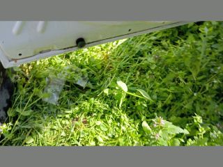 bontott FIAT DOBLO Bal első Ajtó (Üres lemez)