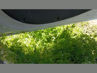 bontott FIAT DOBLO Jobb első Ajtó (Üres lemez)