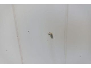 bontott FIAT DUCATO Jobb Tolóajtó (Üres lemez)