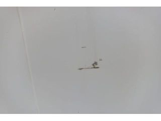 bontott FIAT DUCATO Jobb Tolóajtó (Üres lemez)