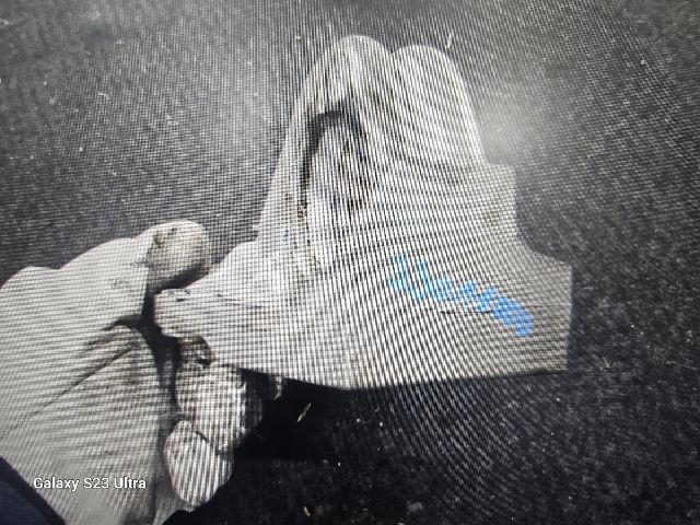 bontott FIAT GRANDE PUNTO Jobb első Féltengely Tartó