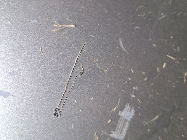 bontott FIAT IDEA Hátsó Lökhárító (Üresen)