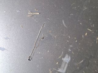 bontott FIAT IDEA Hátsó Lökhárító (Üresen)