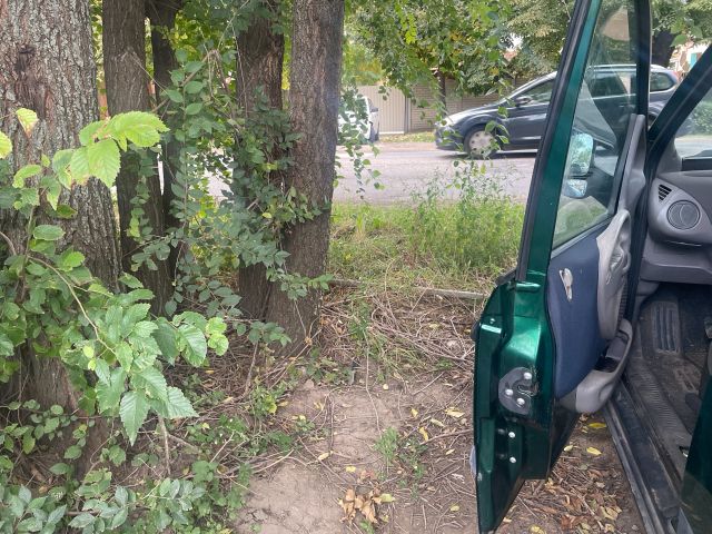 bontott FIAT MULTIPLA Bal első Ajtó (Üres lemez)