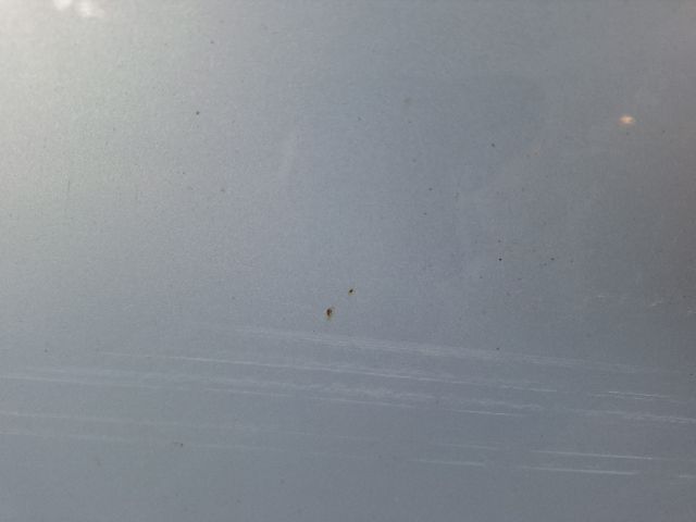 bontott FIAT MULTIPLA Bal hátsó Ajtó (Részeivel)