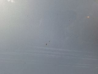 bontott FIAT MULTIPLA Bal hátsó Ajtó (Részeivel)