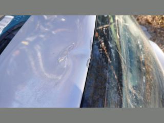 bontott FIAT MULTIPLA Csomagtérajtó (Üres lemez)