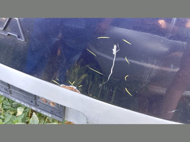 bontott FIAT MULTIPLA Csomagtérajtó (Üres lemez)