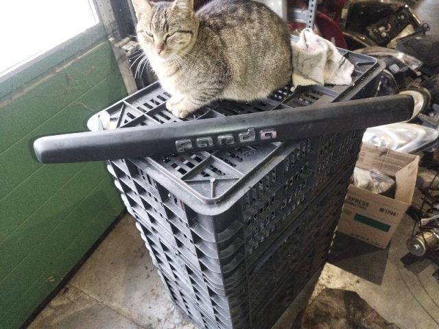 bontott FIAT PANDA Hátsó Rendszámtábla Világítás