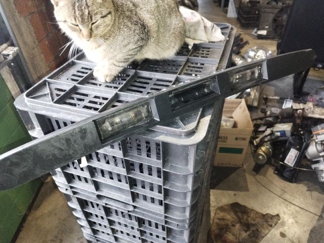 bontott FIAT PANDA Hátsó Rendszámtábla Világítás