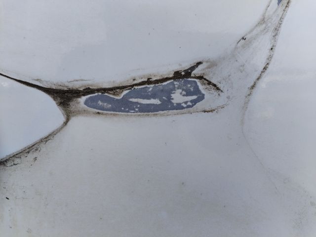 bontott FIAT PANDA Jobb első Ajtó (Üres lemez)