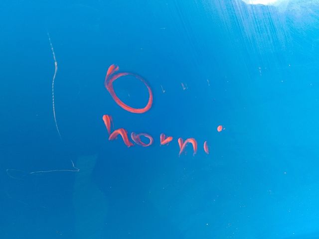 bontott FIAT PANDA Jobb első Ajtó (Üres lemez)