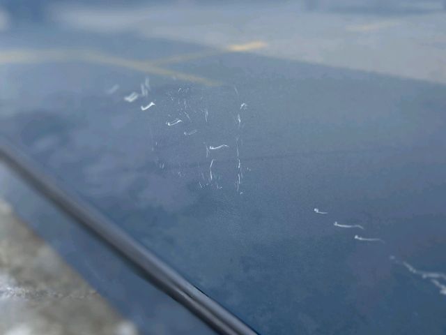 bontott FIAT PUNTO EVO Jobb első Ajtó (Üres lemez)