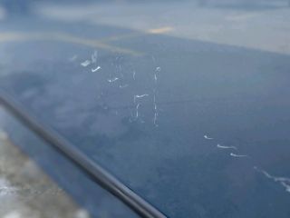 bontott FIAT PUNTO EVO Jobb első Ajtó (Üres lemez)