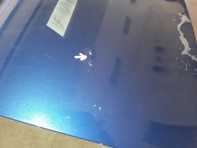 bontott FIAT PUNTO I Csomagtérajtó (Üres lemez)