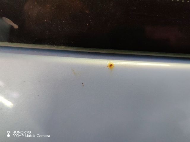 bontott FIAT PUNTO II Csomagtérajtó (Részeivel)