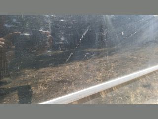 bontott FIAT PUNTO II Jobb első Ajtó (Részeivel)