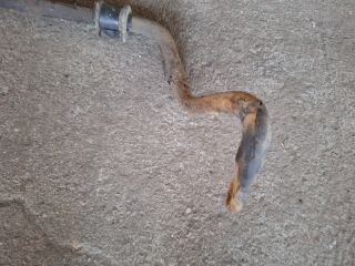 bontott FIAT SCUDO Első Vízszintes Stabilizátor Rúd