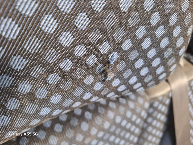 bontott FIAT SCUDO Jobb első Ülés