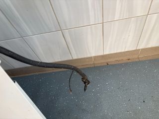 bontott FIAT SCUDO Jobb hátsó Ajtó (Üres lemez)