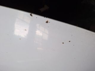 bontott FIAT SCUDO Motorháztető