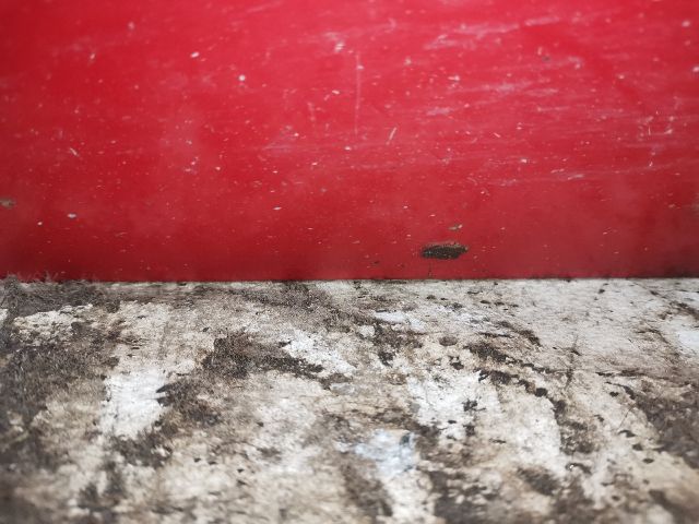 bontott FIAT STILO Bal első Ajtó (Üres lemez)