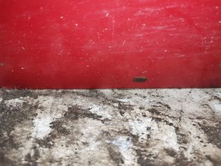 bontott FIAT STILO Bal első Ajtó (Üres lemez)