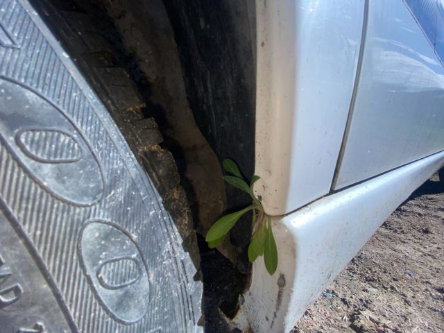 bontott FIAT ULYSSE Jobb hátsó Fixüveg (Ajtóban)