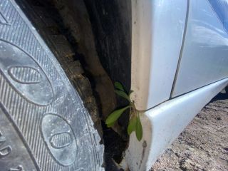 bontott FIAT ULYSSE Jobb hátsó Fixüveg (Ajtóban)