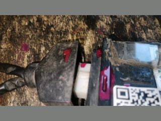 bontott FORD ESCORT Elektronika (Magában)