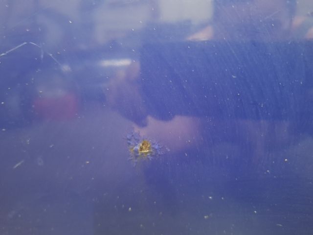 bontott FORD FIESTA IV Bal hátsó Ajtó (Részeivel)