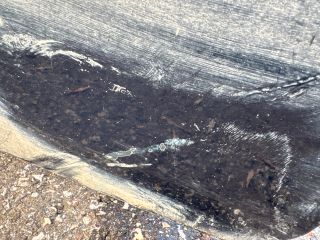 bontott FORD FIESTA V Bal első Ajtó (Részeivel)