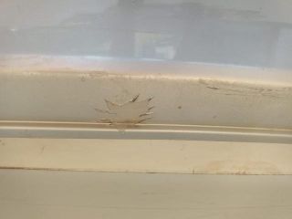 bontott FORD FIESTA V Hátsó Lökhárító (Üresen)