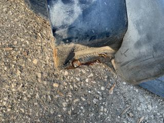 bontott FORD FIESTA V Jobb első Sárvédő